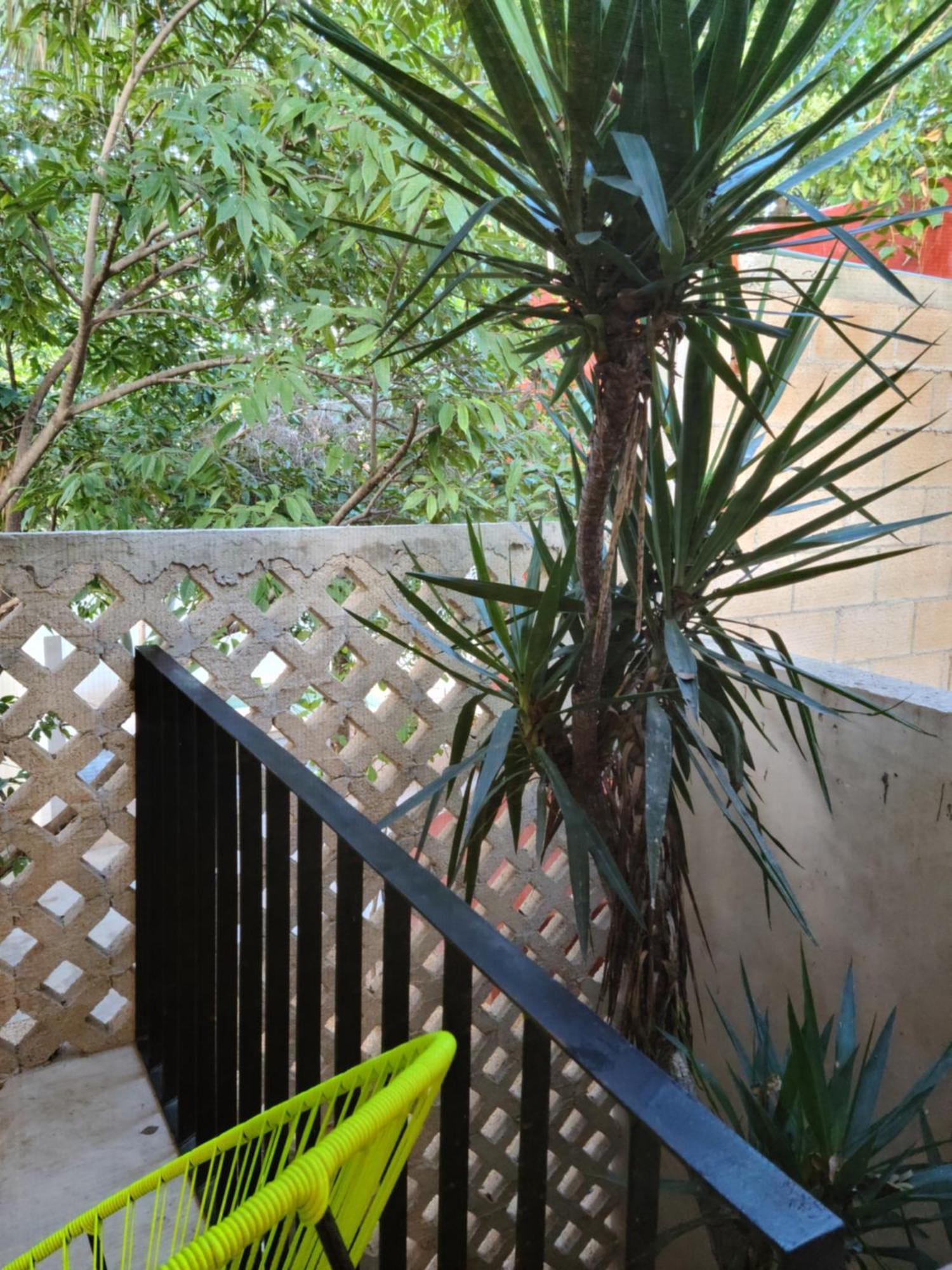 מלון מרידה Casa Ramona מראה חיצוני תמונה